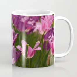 Pink and Purple Tulip Show Coffee Mug
