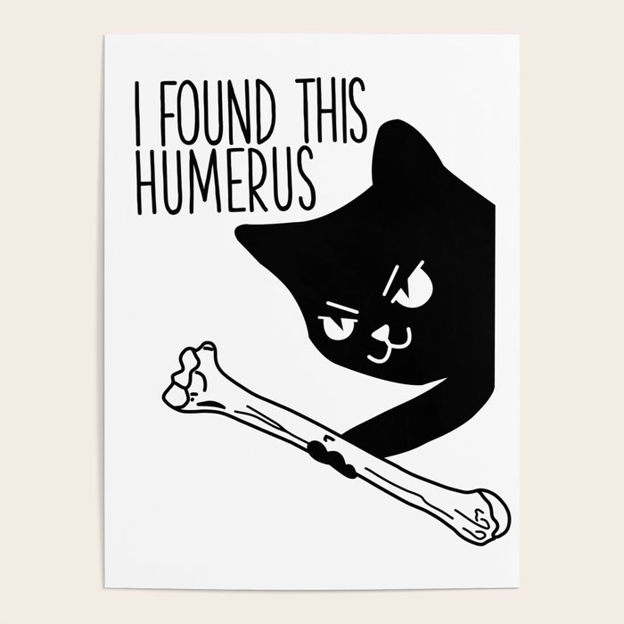 i found this humerus cat
