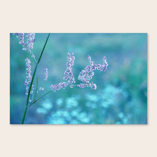jeudi Canvas Print