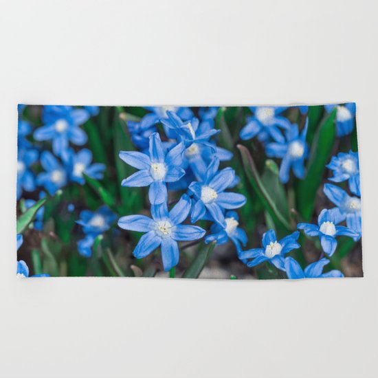 Easter Snow Glories Beach Towel