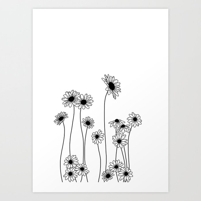Minimal Line Drawing Of Daisy Flowers Art Print By Thecolourstudy