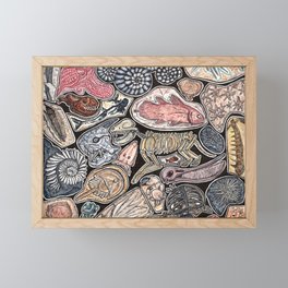 Fossils for history, dinosaur and archaeology lovers Framed Mini Art Print