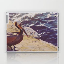 Pacific Pelican Laptop & iPad Skin