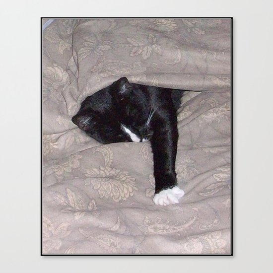All is Well -or SleepySnoozy Canvas Print