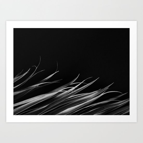 Dark palm leaf Art Print