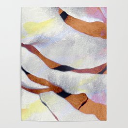 abstract color zebra stripe Poster