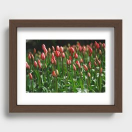 Tulips, tulips.. i know... tulips Recessed Framed Print
