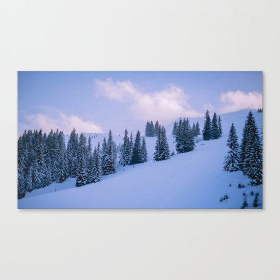 The Winter Woods Canvas Print