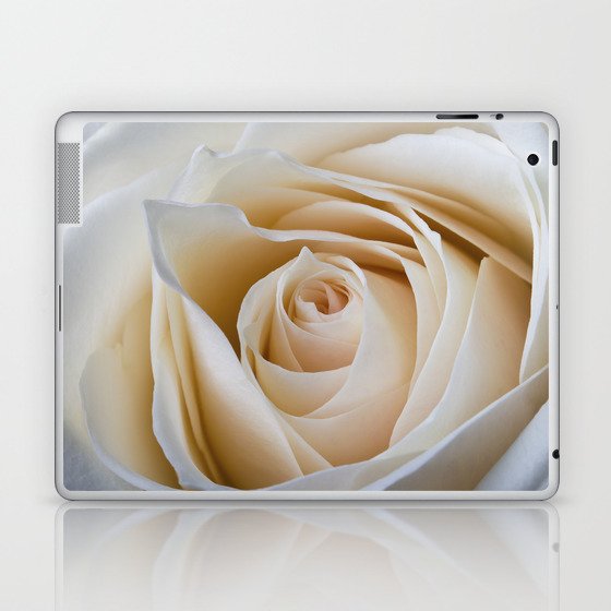 Creamy Rose Laptop & iPad Skin