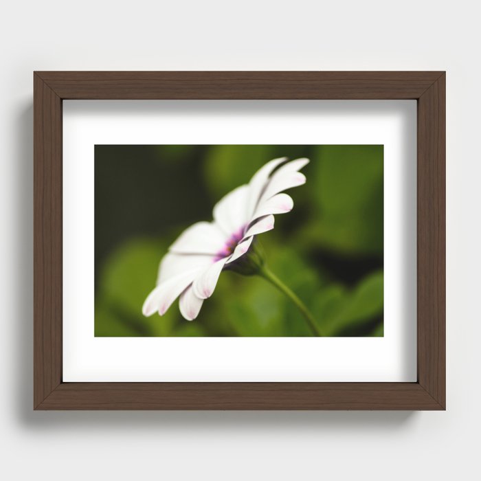 Flower Recessed Framed Print