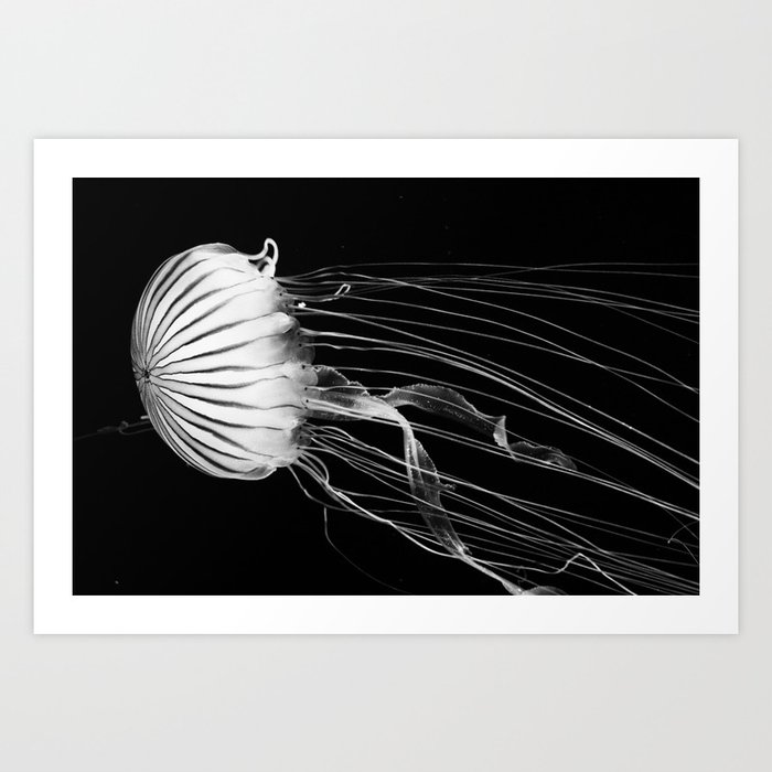Black And White Jellyfish Art Print By Winenot Society6 Black And White Jellyfish Art Print By Winenot Society6