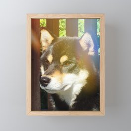 Summer Kuma Framed Mini Art Print