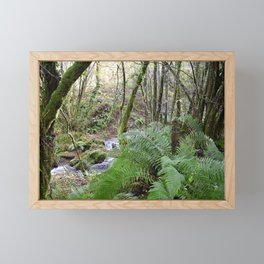 Forest Stream in Galicia Framed Mini Art Print