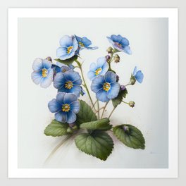 Blue Primrose  Art Print