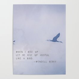 Wendell Berry Like a Bird Poster