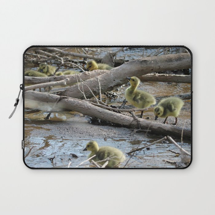 Goslings trying to climb over Sticks Laptop Sleeve