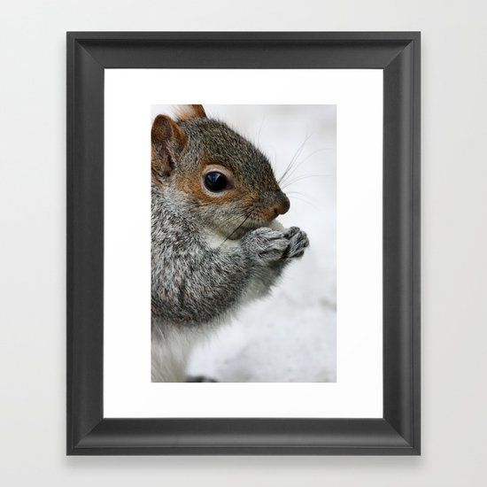 Snow Squirrel Framed Art Print