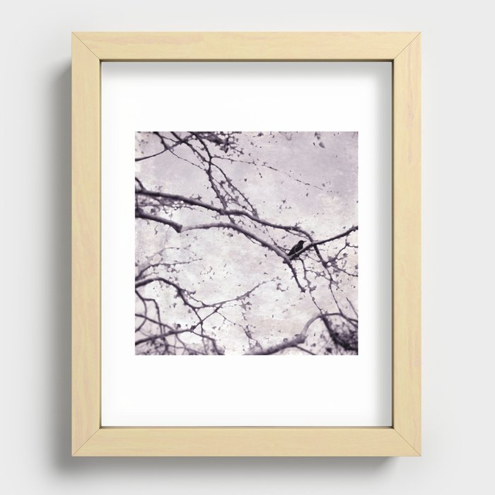 Winter Crow Recessed Framed Print
