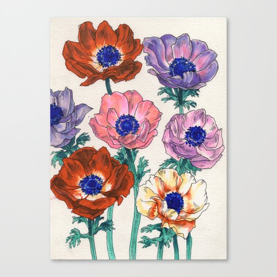 poppies Canvas Print