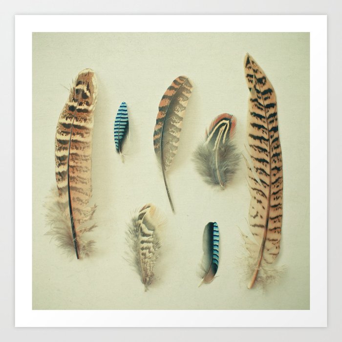 The Feather Collection Art Print