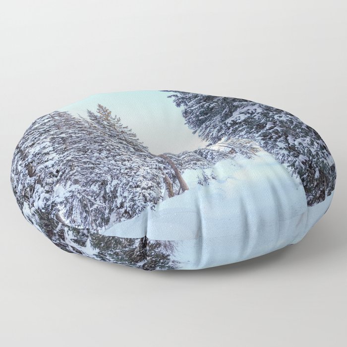 Path Through Snow Covered Trees Floor Pillow