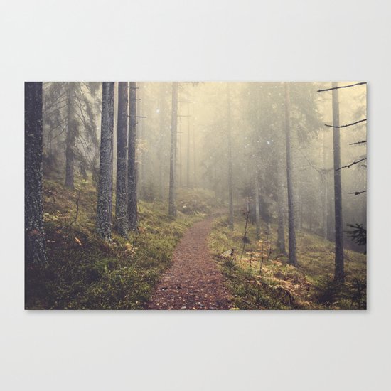 Norwegian Woods Canvas Print