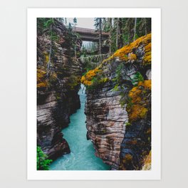 Athabasca Falls | Jasper, Alberta | Landscape Photography Art Print