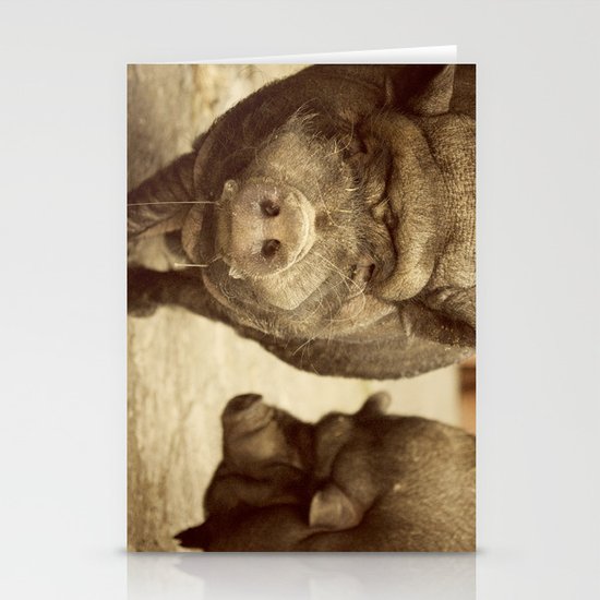 los cerditos de mi tia Stationery Cards