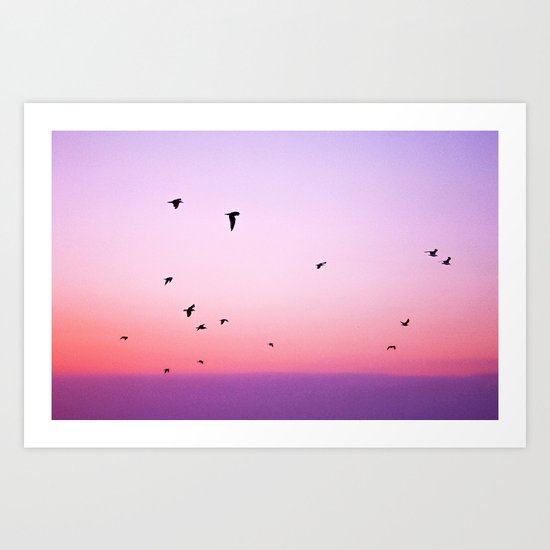 birds in the sky rose Art Print