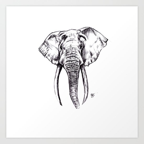 Elephant Drawing Art Print