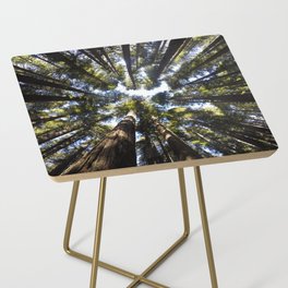 Giant Redwoods Side Table