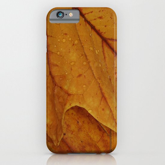 American Tulip Poplar Leaves iPhone & iPod Case
