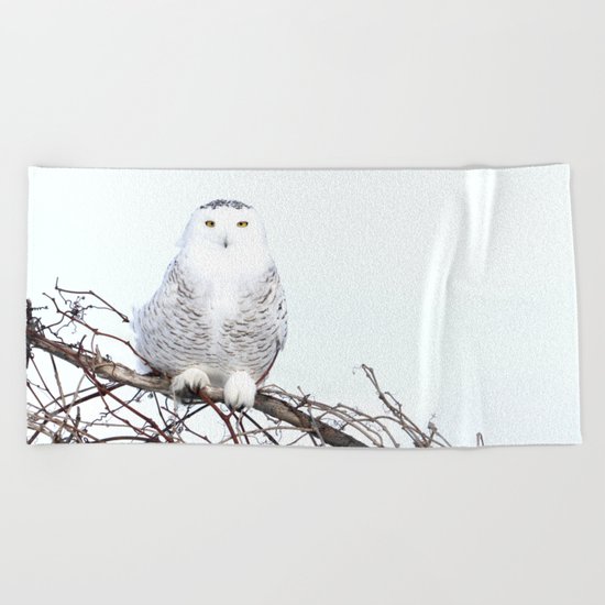 The Vineyard Beach Towel