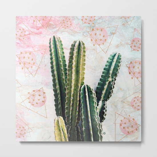 cactus and geometrics Metal Print