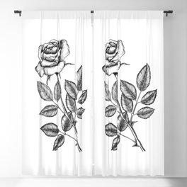 Rose drawing 2 Blackout Curtain