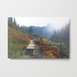Boardwalk Hiking Trail Pacific Northwest Washington Outdoors Nature Forest Fall October Adventure Travel Sunset Metal Print