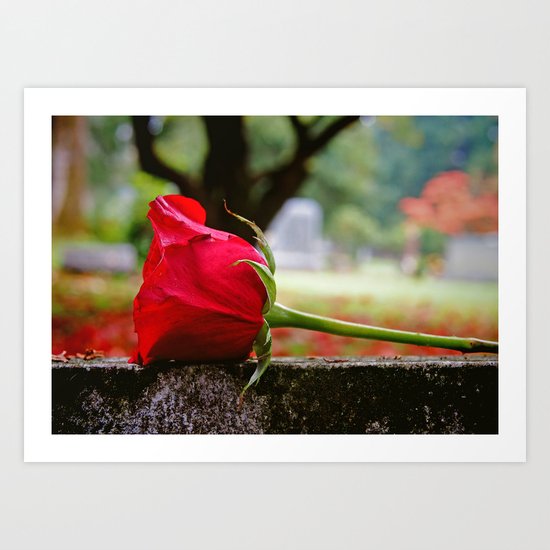 Cemetery rose Art Print