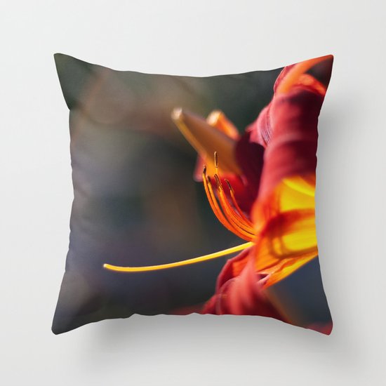 Fire Throw Pillow