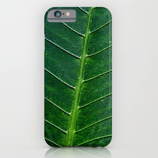 Giant Upright Elephant Ear, Night-scented Lily (Alocasia Odora) iPhone & iPod Case