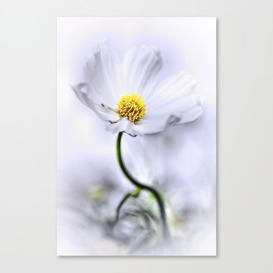 And again another sweet dream... Canvas Print