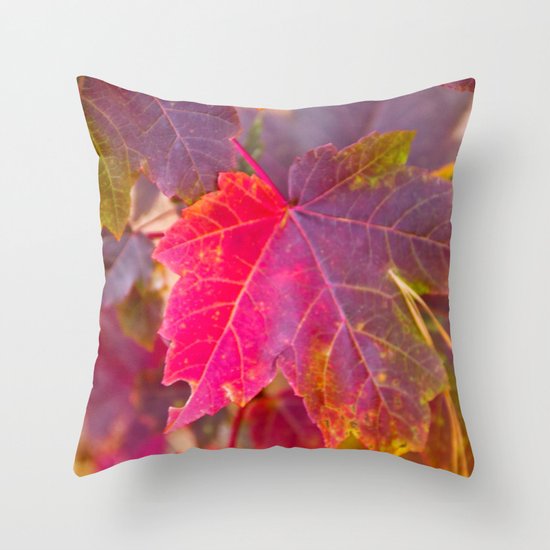 Fall Party Throw Pillow