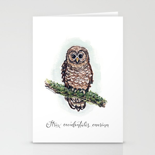 Northern Spotted Owl Illustration Stationery Cards