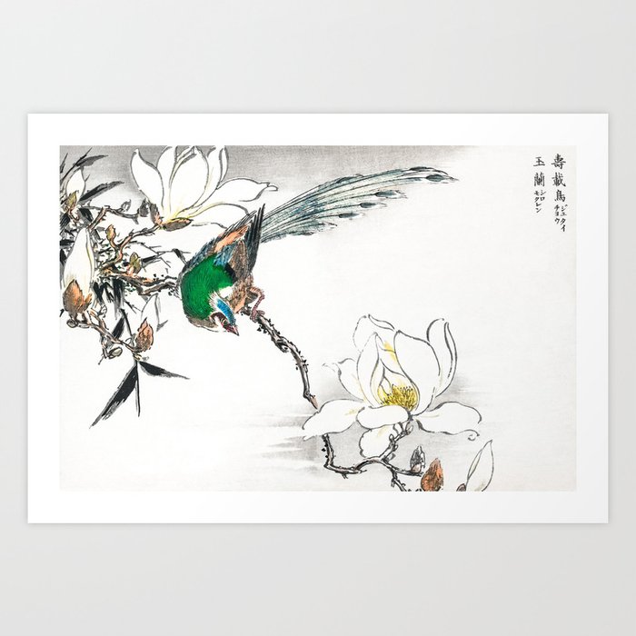 Exotic Bird And Magnolia Flowers - Vintage Japanese Woodblock Print Art By Numata Kashu Art Print