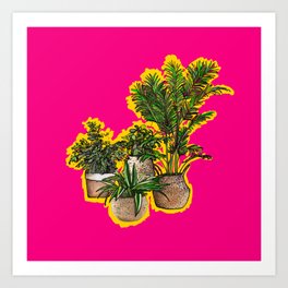 Plants in Wicker on Magenta Art Print