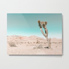 Vintage Desert Scape // Cactus Nature Summer Sun Landscape Photography Metal Print | Photo, Scenic Australia 60S, California Travel Of, Wilderness Westcoast, Road Trip Mojave, Green Teal Colors, Modern Vintage Cali, Plant Plants Picture, Cacti Good Vibe Q0, National Tree Van 