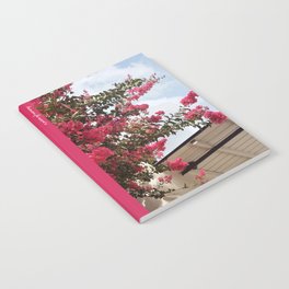 Pink Crepe Myrtle Tree | Pink Flowers In Full Bloom Next To A Shotgun House In New Orleans Notebook