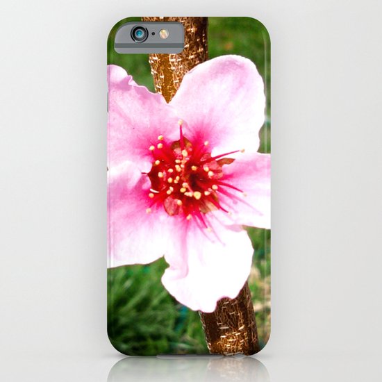 Peach Blossom iPhone & iPod Case