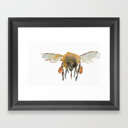 Bee3 Framed Art Print