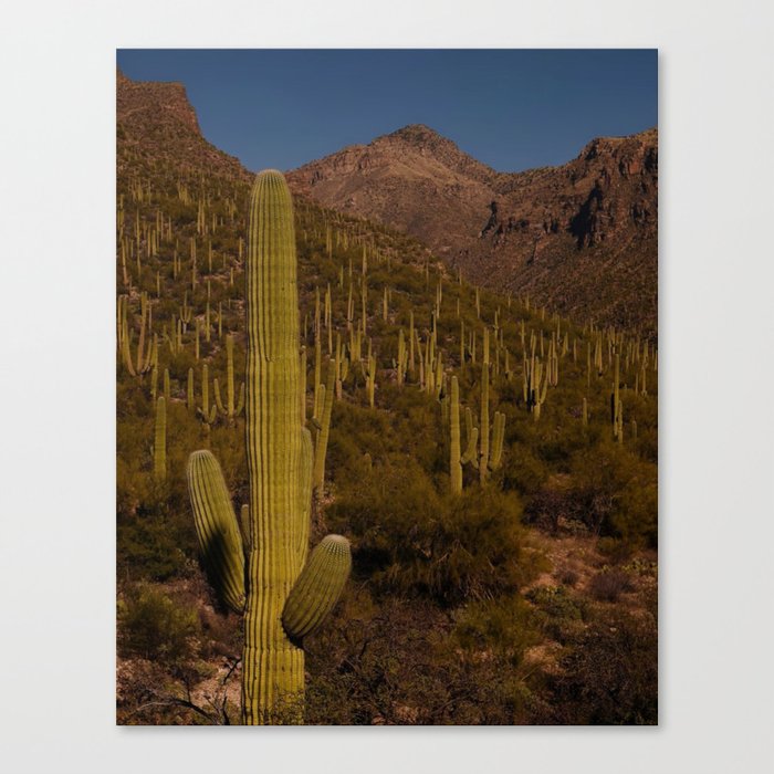 Canvas Print