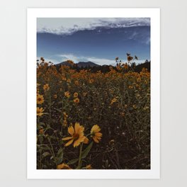 Wildflowers Forever Art Print